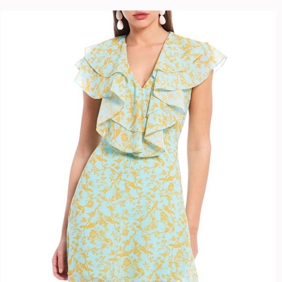 🔥NWT Sachin & Babi Annemarie Ruffle Toile du Jouy - Picture 5 of 14